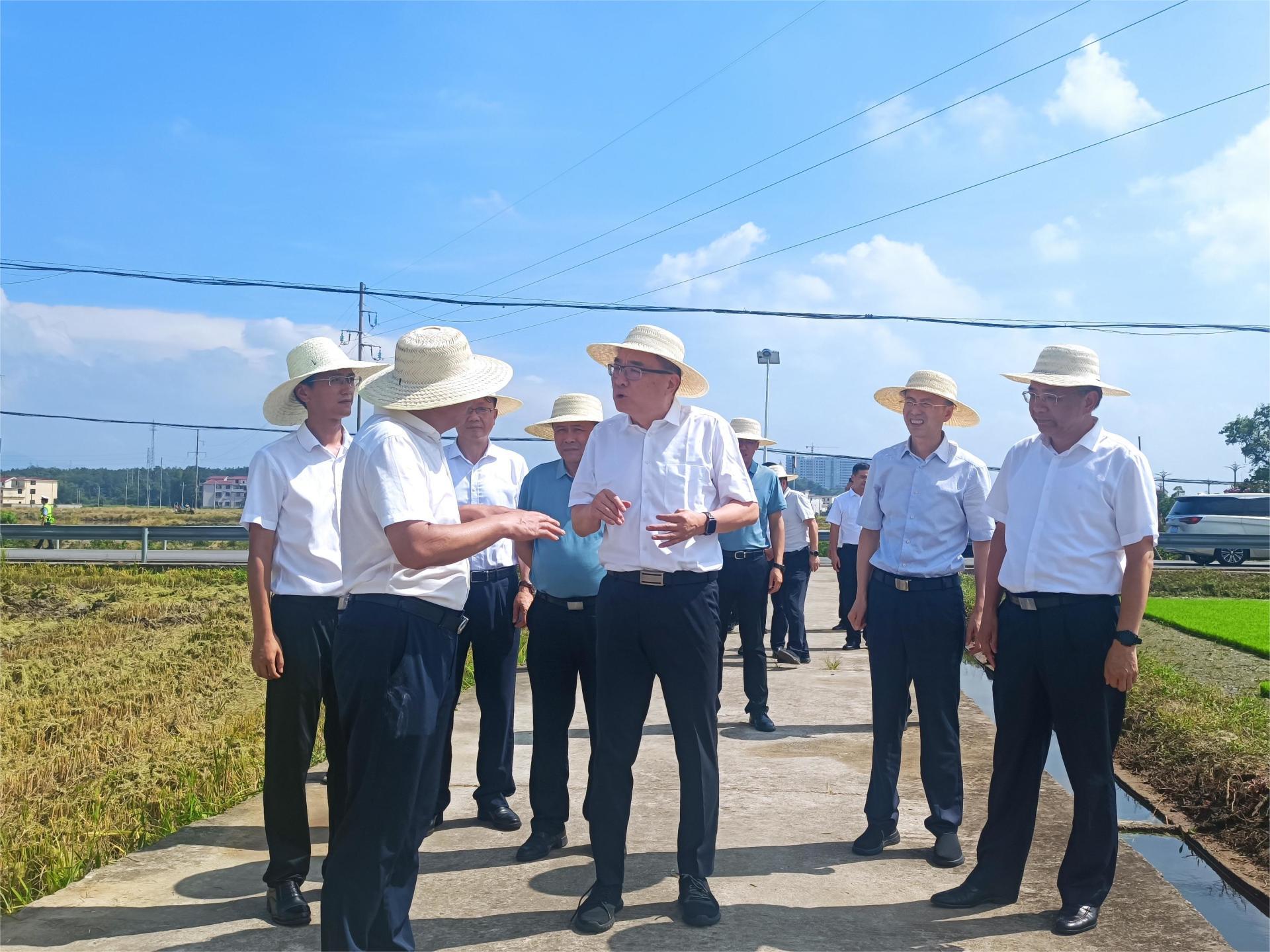 省委常委梁桂在綠能調(diào)研：搶抓農(nóng)時 毫不放松抓好糧食生產(chǎn)