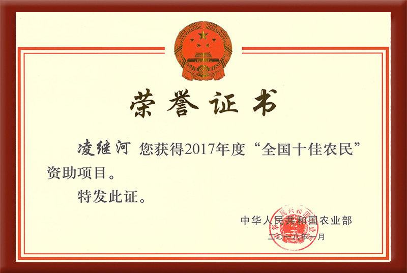 2017年度全國十佳農(nóng)民資助項目