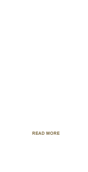 網聯登記