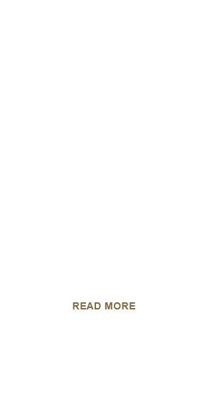 網聯登記