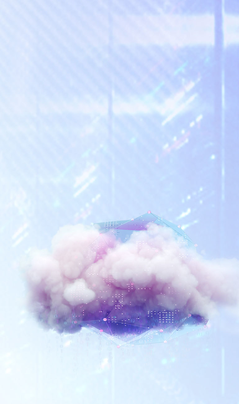新网