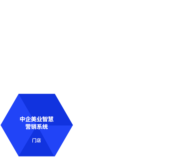 中企美业