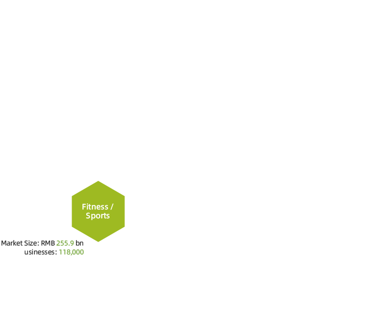 Current State of the <span>Local Lifestyle</span> Services Industry