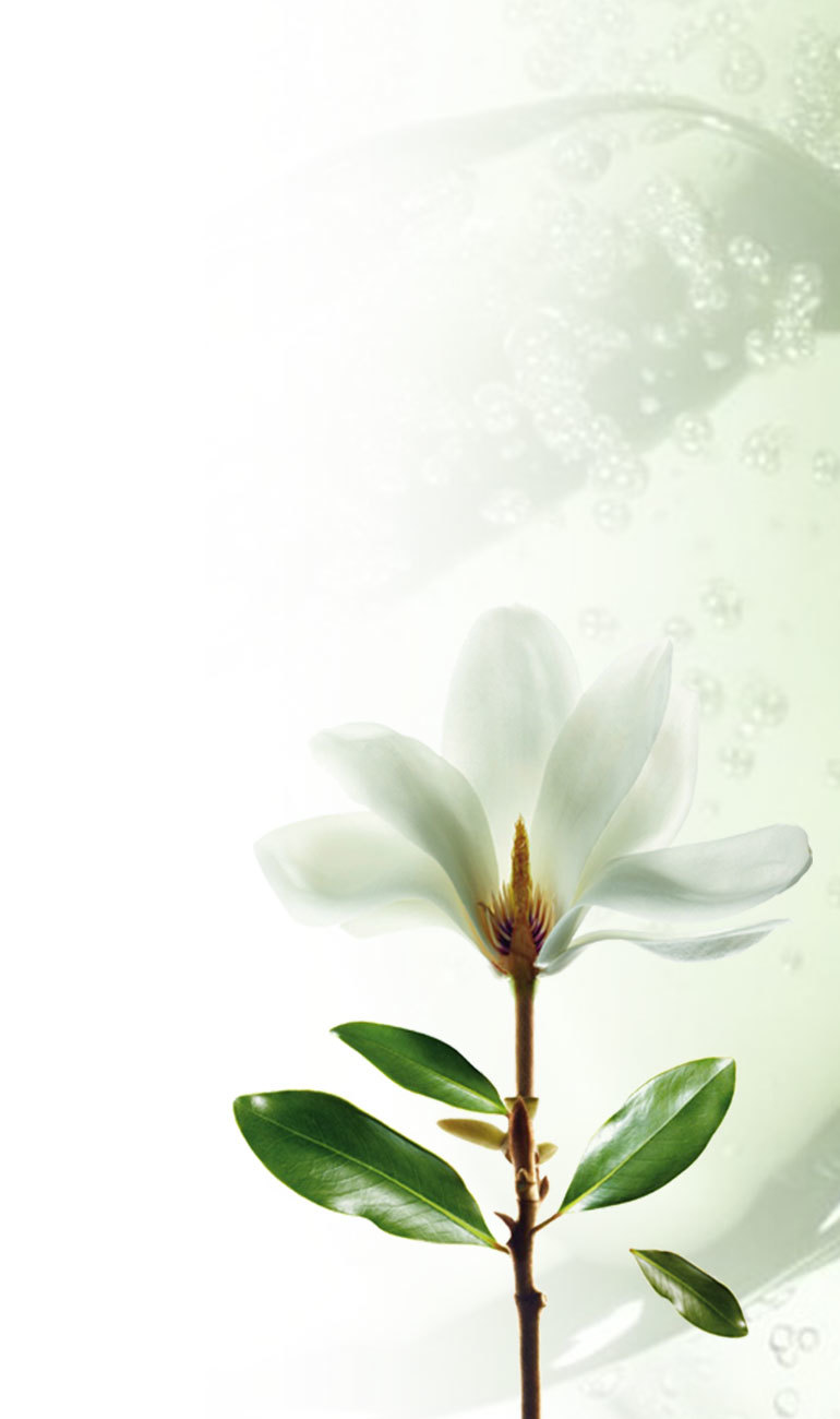 中企美业