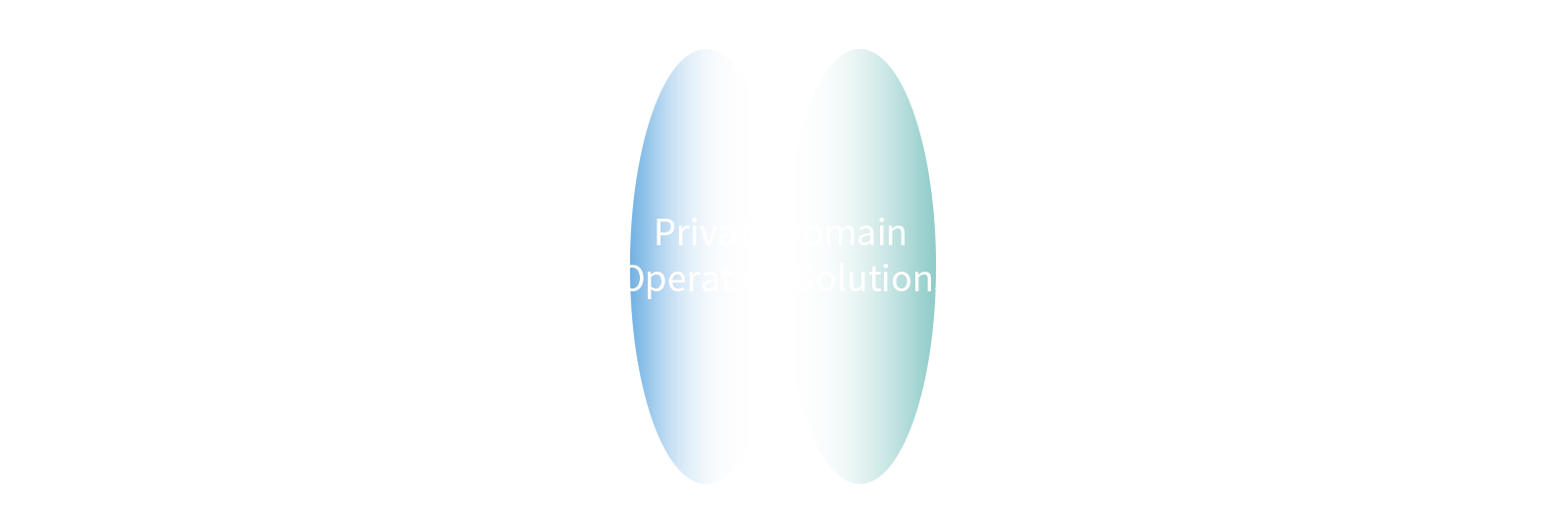 New Business <span>Ventures Set Sail</span>