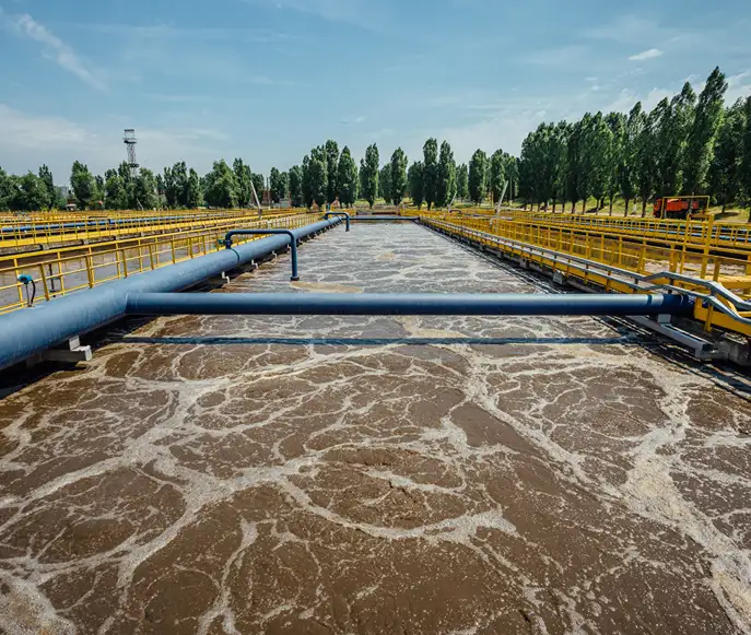 Sewage & Wastewater Sewage & Wastewater