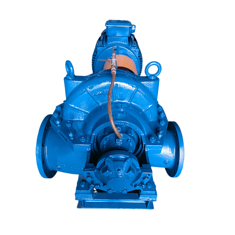 Double suction pump