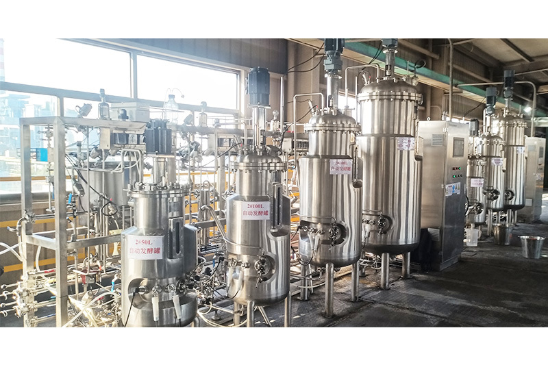 Small and medium-sized pilot fermentation equipment