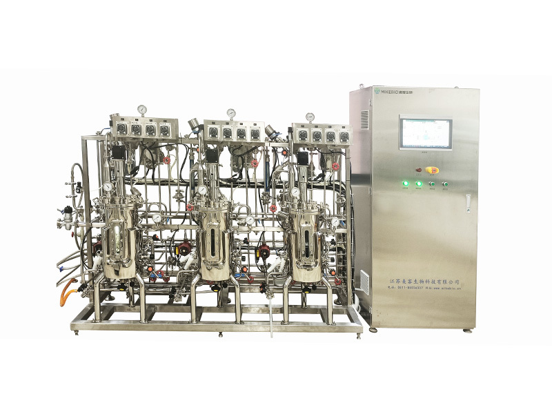 Parallel Stainless Steel Fermenter