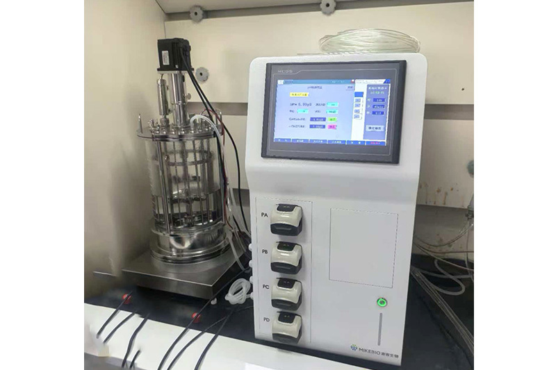 Laboratory fermentation equipment