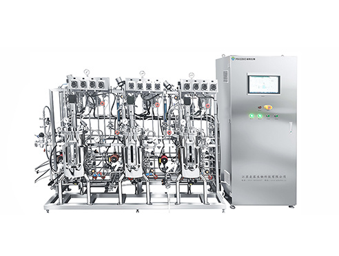 How can the fermentation system be upgraded?