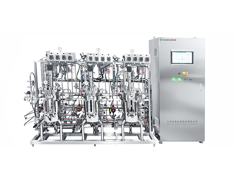Parallel Stainless Steel Fermenter