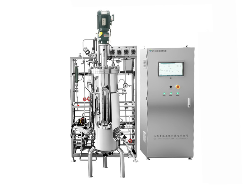 Single Stainless Steel Fermenter