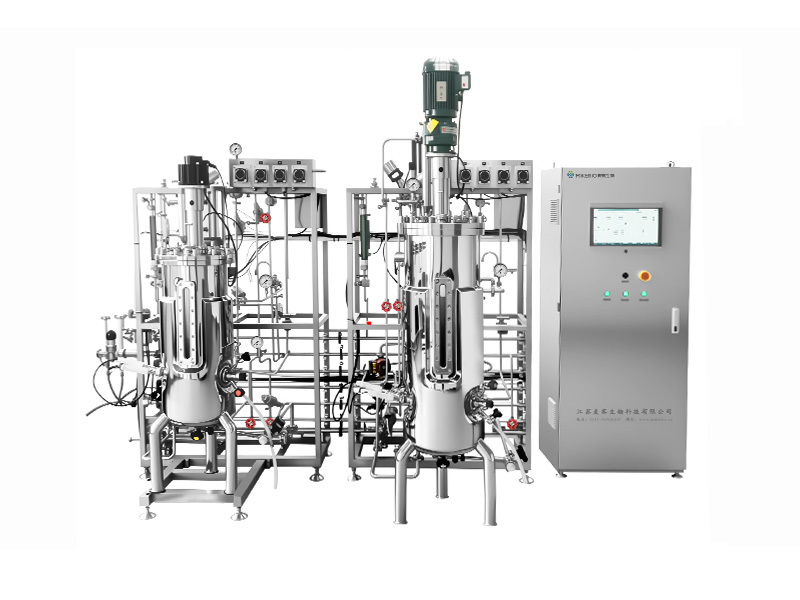 Two-stage Three-stage Multistage Fermenter