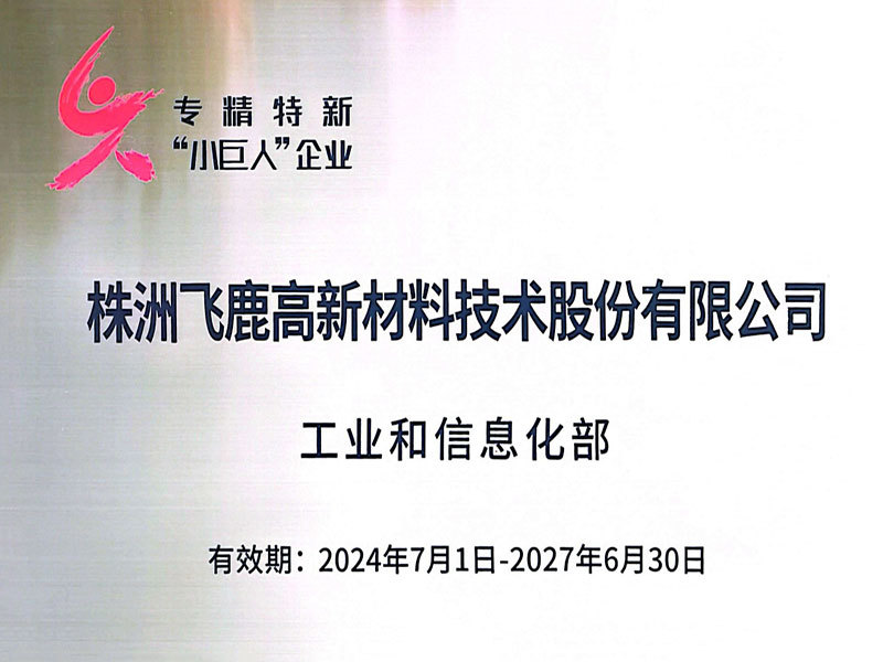國家專精特新“小巨人”企業(yè)