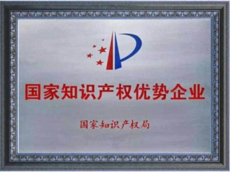 National Intellectual Property Advantage Enterprise