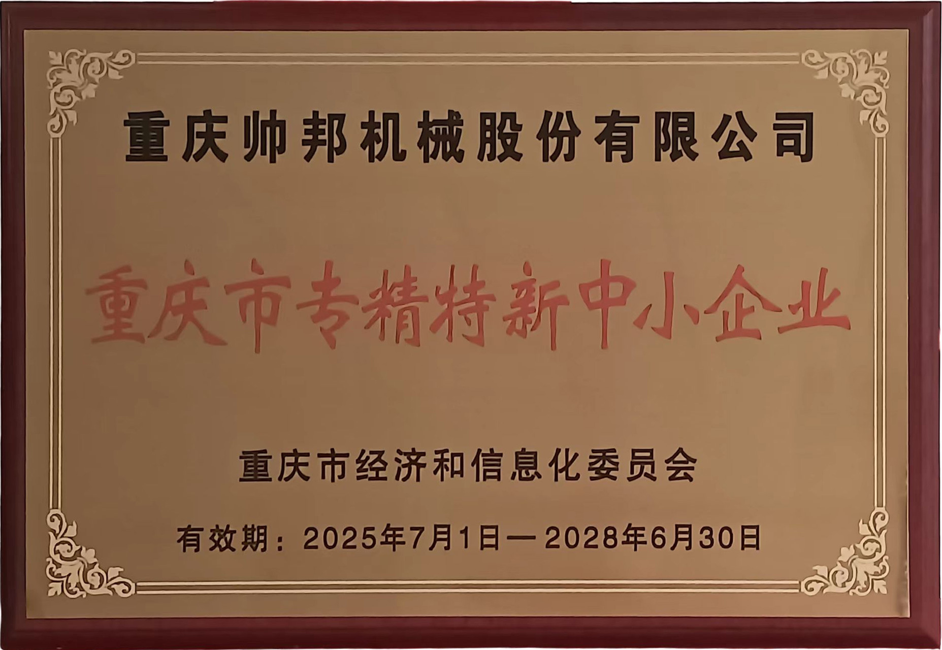 重慶市專精特新中小企業(yè)