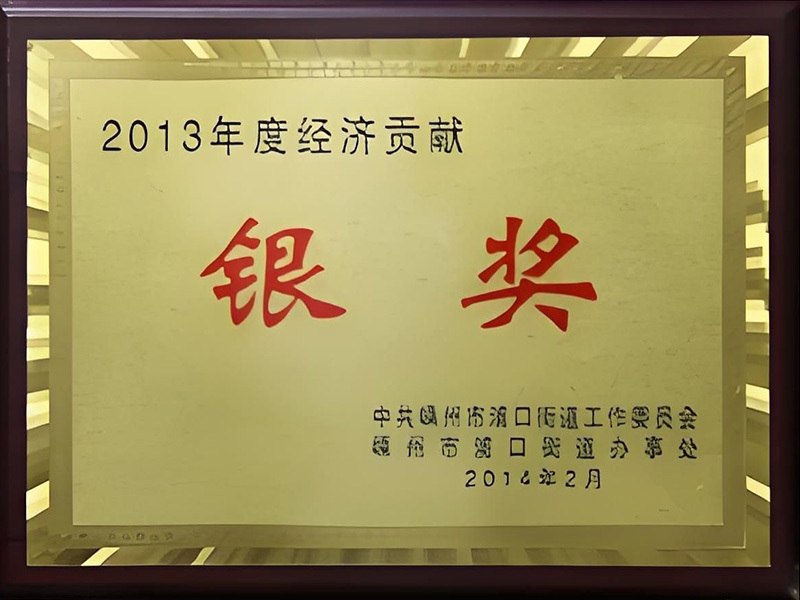 2013年度经济贡献银奖