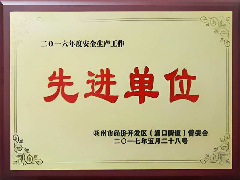 2016年典范组织