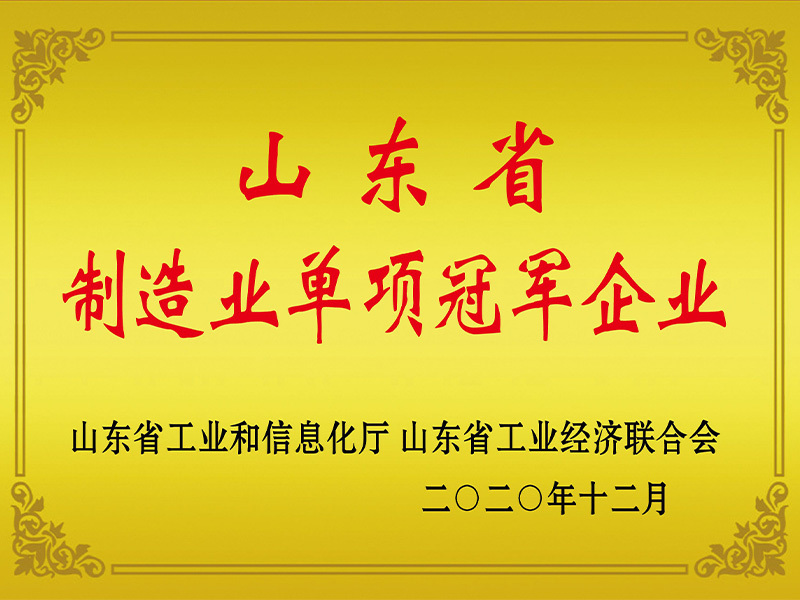 制造業(yè)單項(xiàng)冠軍 制造業(yè)單項(xiàng)冠軍