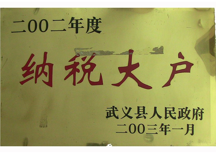 2002年纳税大户