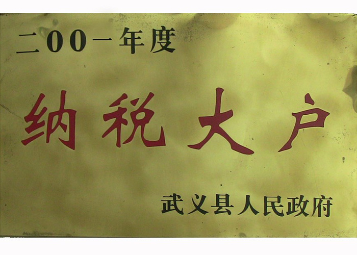 2001年纳税大户
