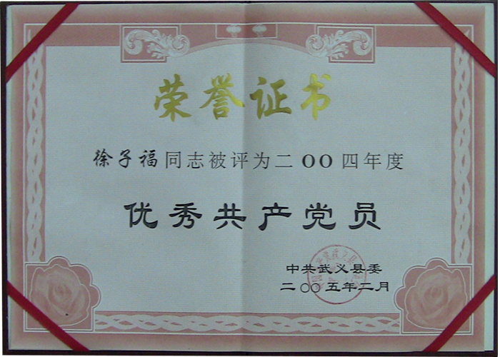 优秀共产党员荣誉证书
