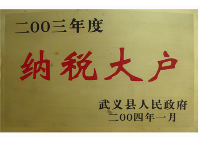 2003年纳税大户
