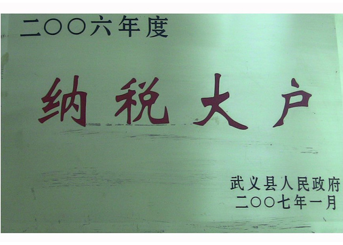 2006年纳税大户