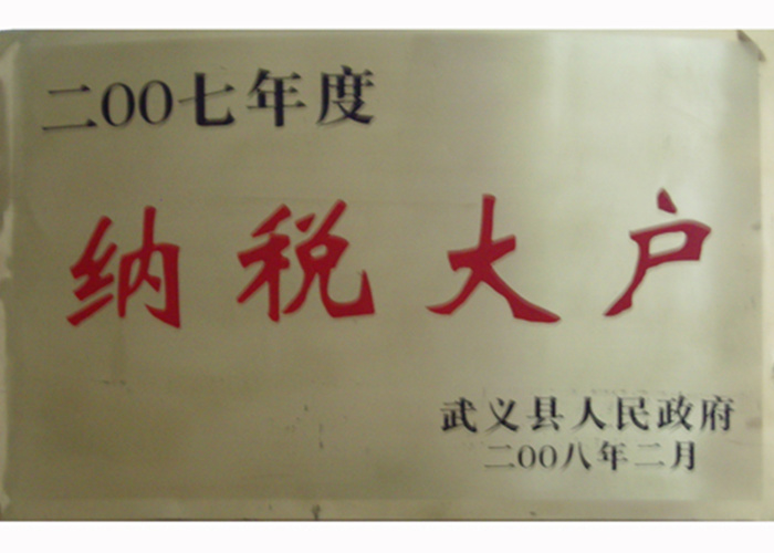 2007年纳税大户
