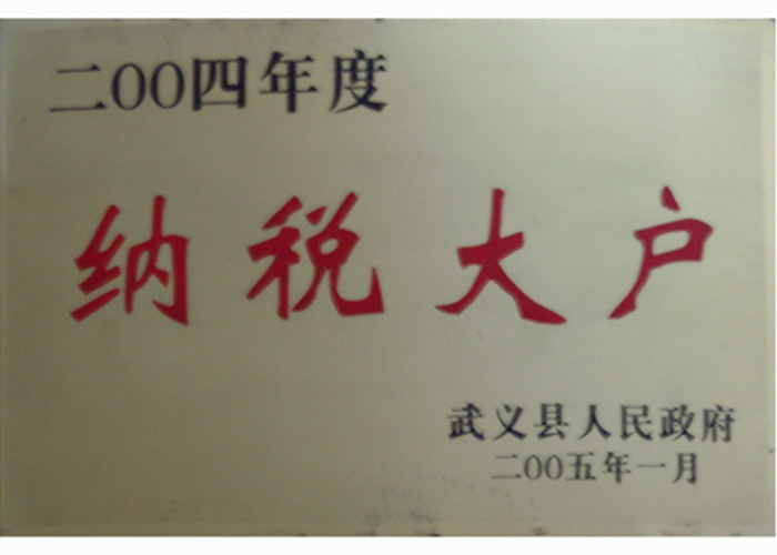 2004年纳税大户