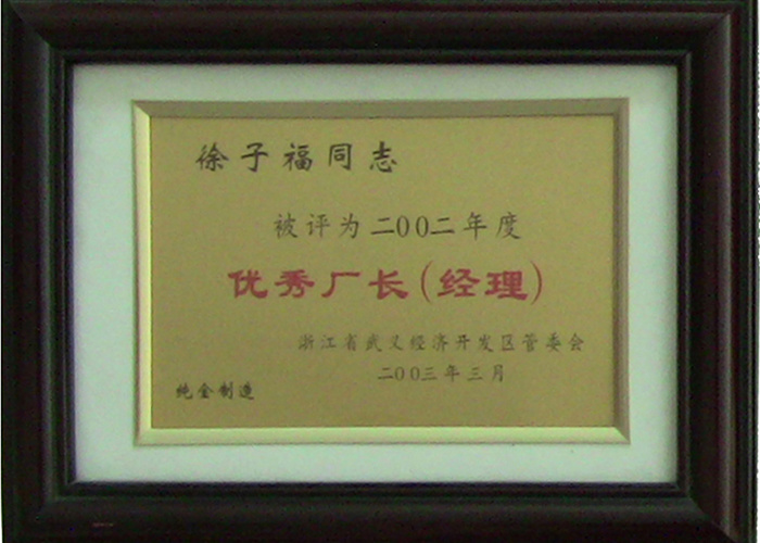 2002年优秀厂长经理