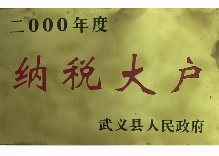 2000年纳税大户