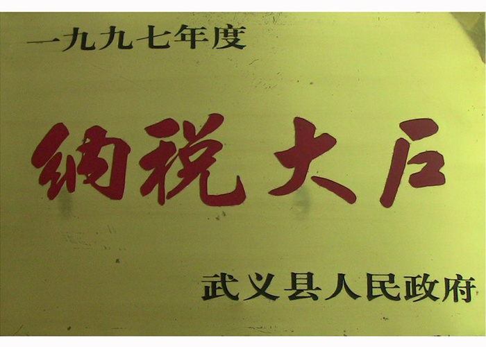 1997年纳税大户