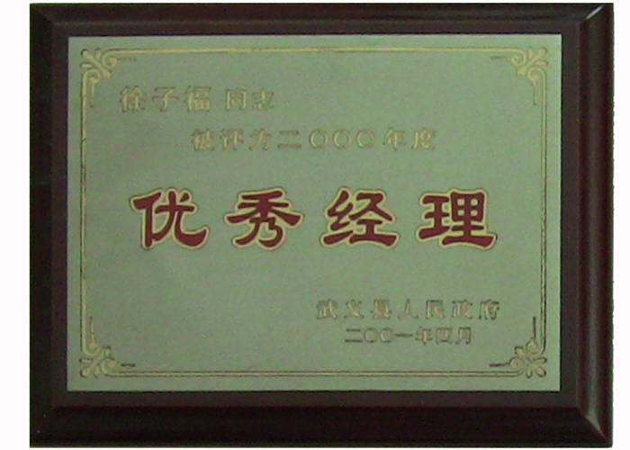 2000年优秀经理