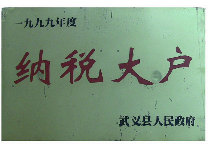 1999年度纳税大户