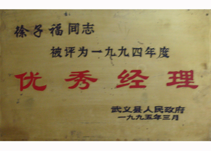 1994年优秀经理
