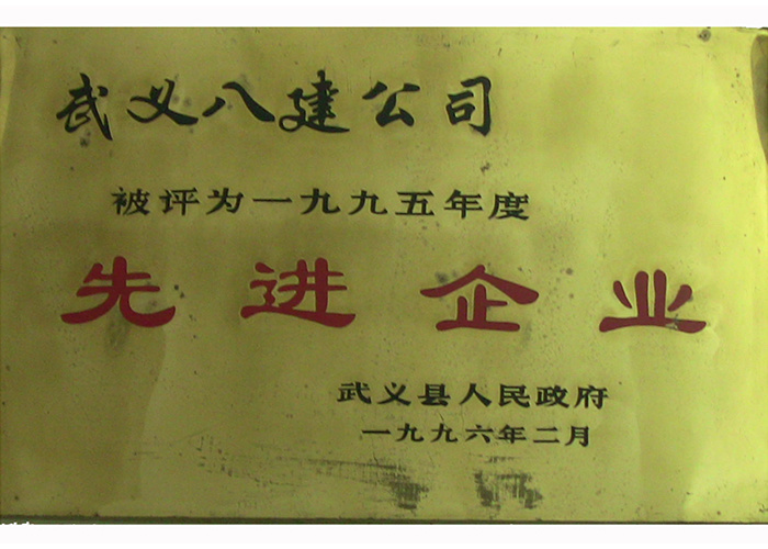 95年先进企业