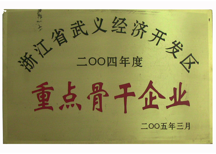 2004年重点骨干企业