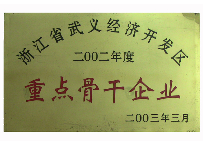 2002年重点骨干企业