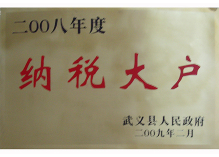 2008年纳税大户