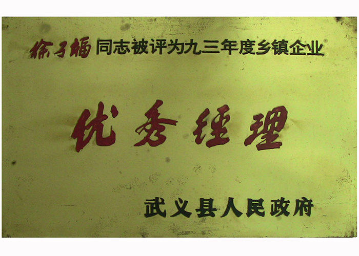 1993年优秀经理