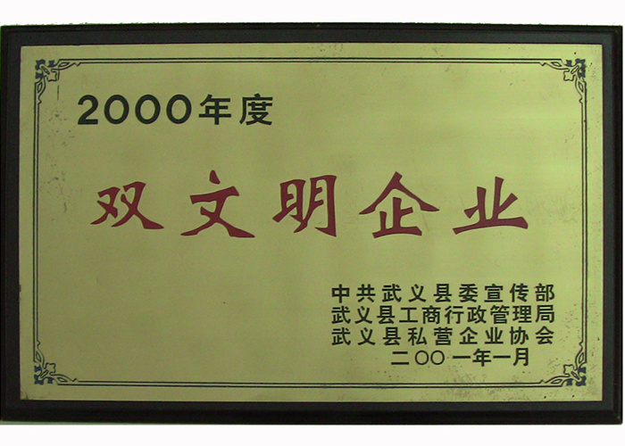2000年双文明企业