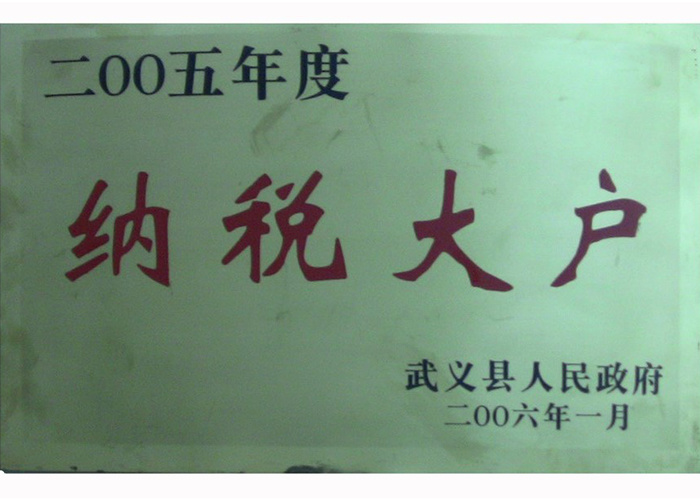 2005年纳税大户