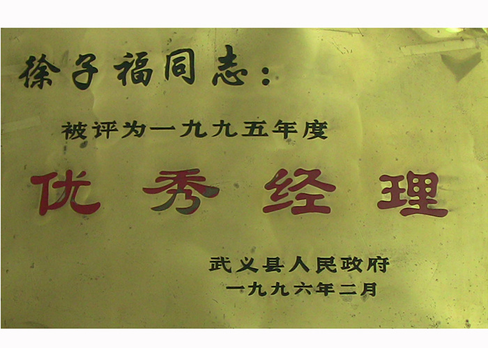 1995年优秀经理