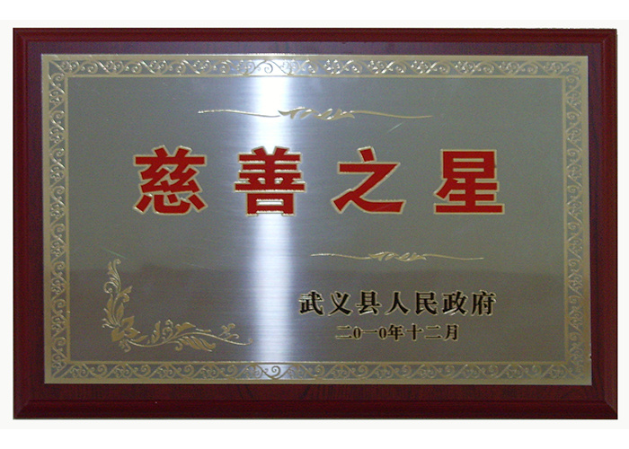 慈善之星