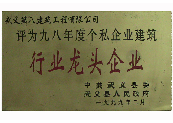 1998年行业龙头企业