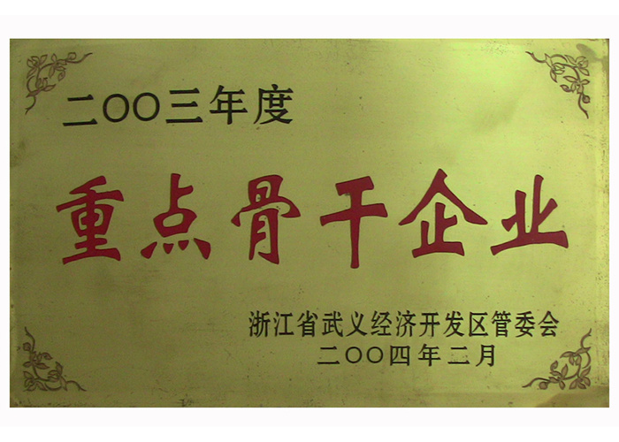 2003年重点骨干企业