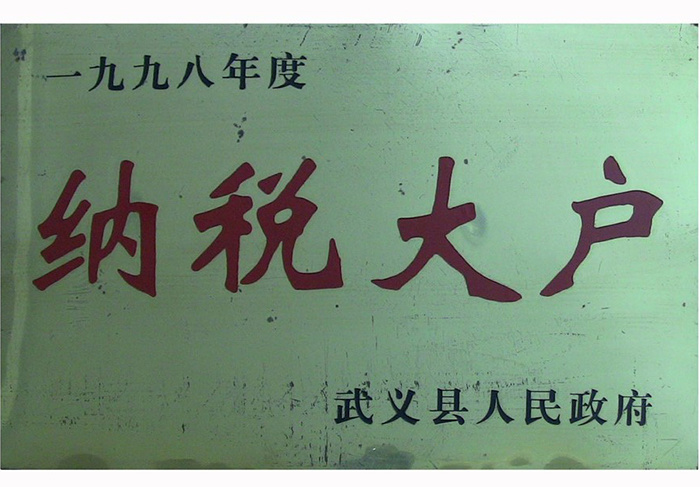 1998年纳税大户
