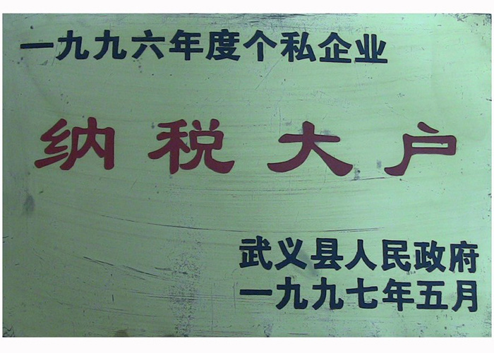 1996年纳税大户